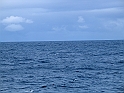 Obraz 465